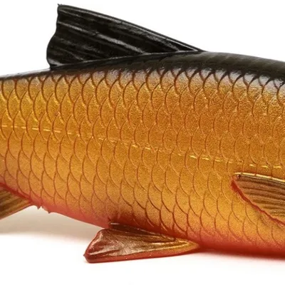 Guma spinningowa Savage Gear 3D Lb River Roach Paddletail