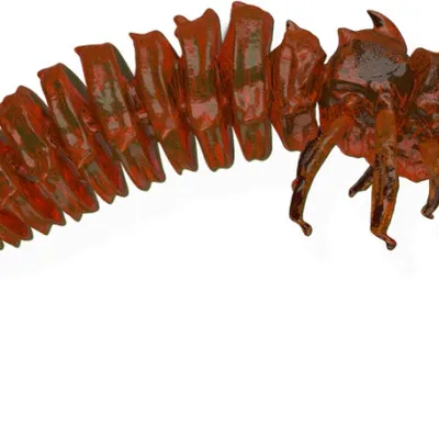 Guma spinningowa Qubi Lures Bigfatbug