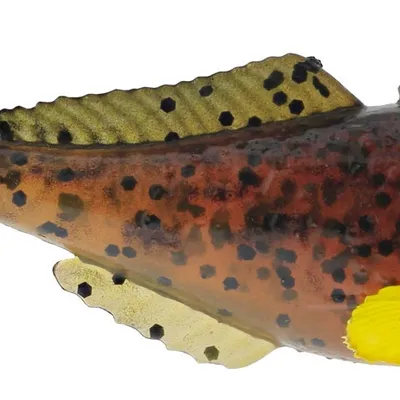 Guma spinningowa Westin Gunnar The Goby