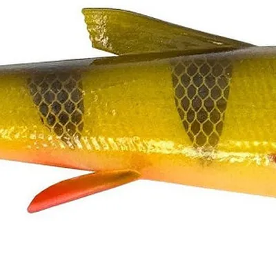 Guma spinningowa Savage Gear 3D Whitefish Shad