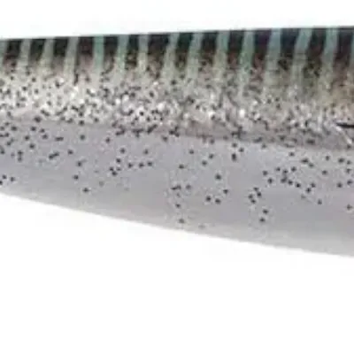 Guma spinningowa FOX Rage Zander Pro Shad