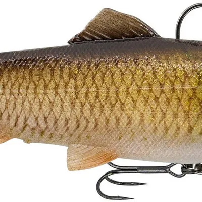 Guma spinningowa Savage Gear 3D Trout R.Shad FS