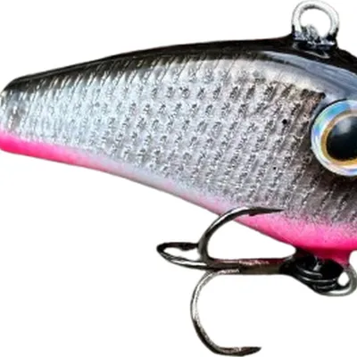 Cykada Great Fish Neon Cicada