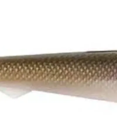 Guma spinningowa FOX Rage Pelagic Ready Rig Slick Finesse