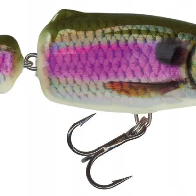 Wobler Salmo Frisky DR
