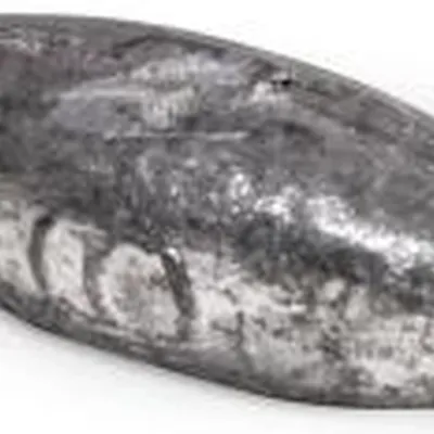 Ciężarek Zebco Trophy Barrel