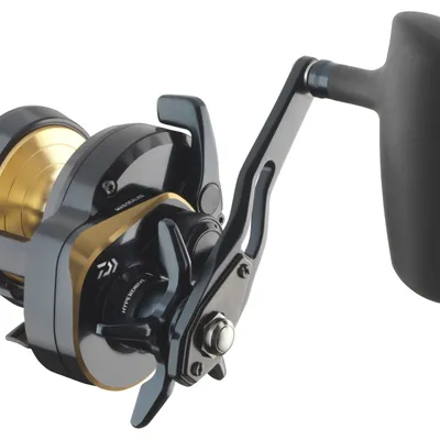Multiplikator Daiwa 24 Saltiga L