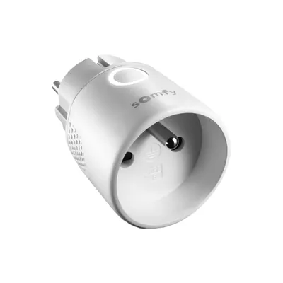Somfy 1822617 Plug io 1800W Wewnętrzne gniazdo typ E