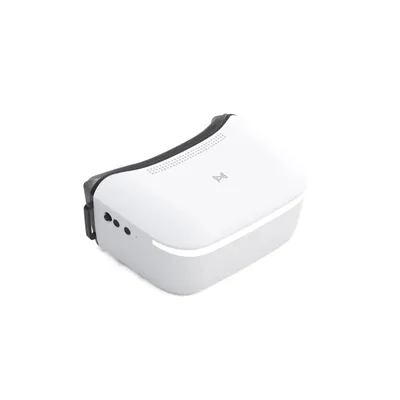 Gogle Walksnail Avatar L