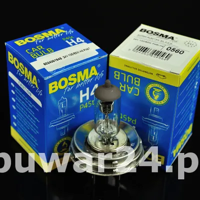 ŻARÓWKA /0560/ 24V H4 100/90W P45 spec