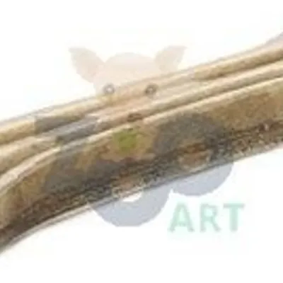 MACED Kość Prasowana 21cm