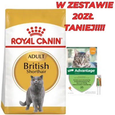 ROYAL CANIN British Shorthair 10kg karma sucha dla kotów dorosłych rasy brytyjski krótkowłosy + Advantage - dla kotów (0,4mlx4) *roztwór* blister