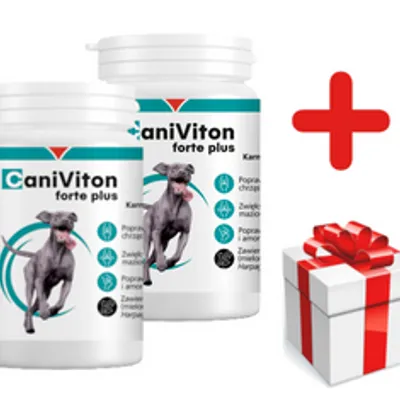 VETOQUINOL Caniviton Forte Plus - Karma Uzupełniająca Dla Psów 2x90 tab + NIESPODZIANKA DLA PSA GRATIS