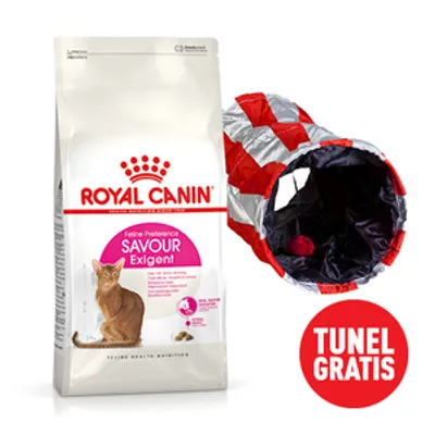 ROYAL CANIN  Exigent Savour 35/30 Sensation 4kg karma sucha dla kotów dorosłych, wybrednych, kierujących się teksturą krokieta + Tunel dla kota GRATIS!