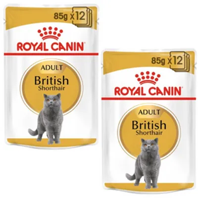 ROYAL CANIN British Shorthair Adult saszetka 2x(12x85g) (Sos) karma mokra w sosie dla kotów dorosłych rasy brytyjski krótkowłosy