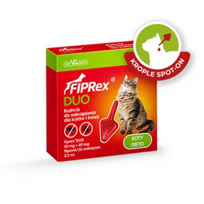 FIPREX DUO 50 mg + 60 mg roztwór do nakrapiania dla kotów i fretek