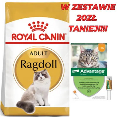 ROYAL CANIN Ragdoll Adult 10kg | Darmowa dostawa