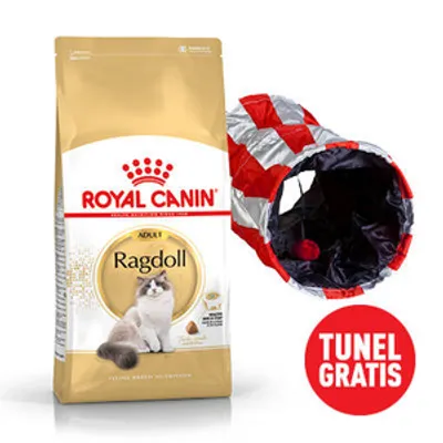 ROYAL CANIN Ragdoll Adult 10kg | Darmowa dostawa
