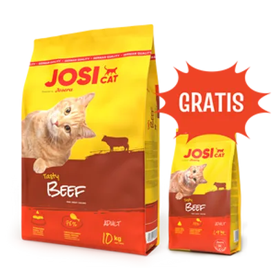 JOSERA JosiCat Tasty Beef 10kg + 1,9kg GRATIS!!