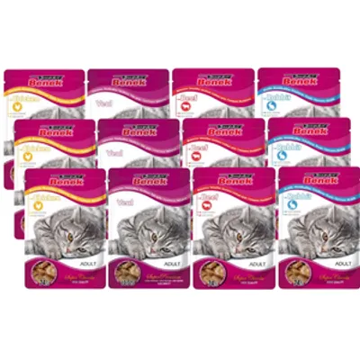 SUPER BENEK Adult Saszetka dla kota MIX SMAKÓW 12x100g