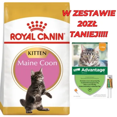 ROYAL CANIN Maine Coon Kitten 36 10kg | Darmowa dostawa