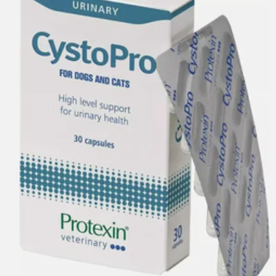 Protexin CystoPro dla psów i kotów na drogi moczowe 30 kapsułek