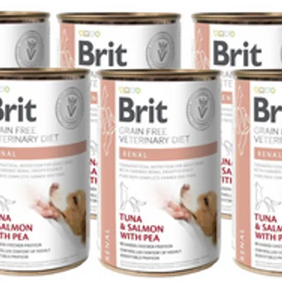 BRIT GF veterinary diets dog Renal 6x400g-karma mokra dla psa