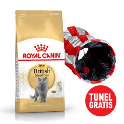 ROYAL CANIN British Shorthair 10kg karma sucha dla kotów dorosłych rasy brytyjski krótkowłosy + Tunel dla kota GRATIS!