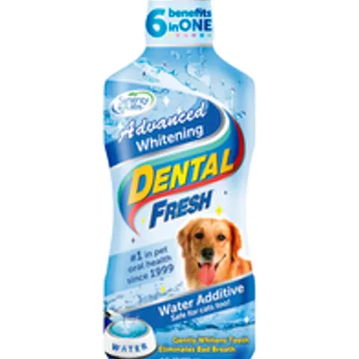 Dental Fresh wybielający 237ml - preparat do higieny jamy ustnej