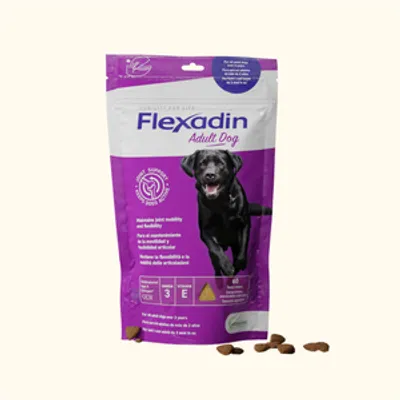 VETOQUINOL Flexadin Adult Dog 60kąsków