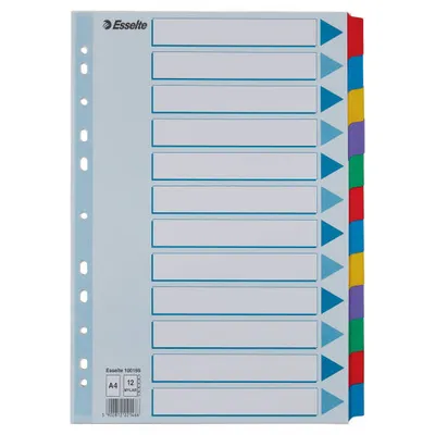 Przekładki a4 ESSELTE mylar 100169 mix karton 160g 12szt