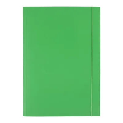 Teczka z gumką D.RECT zielona 300g