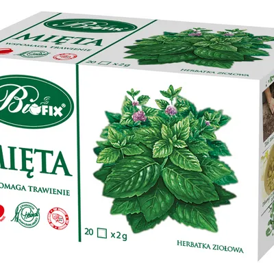 Herbata ziołowa mięta BIFIX 20 torebek