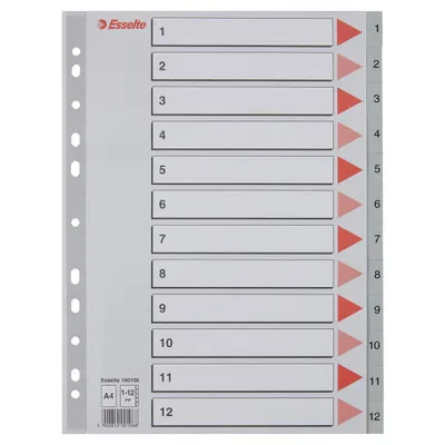 Przekładki 1-12 a4 ESSELTE 100106 szary pp