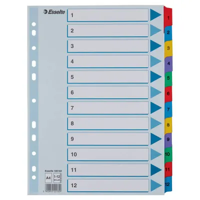 Przekładki 1-12 a4 ESSELTE mylar 100162 mix karton 160g