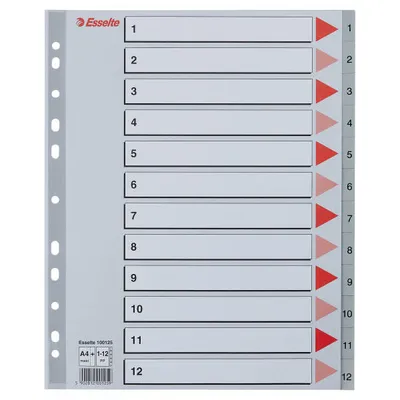 Przekładki 1-12 a4 maxi ESSELTE 100125 szary pp