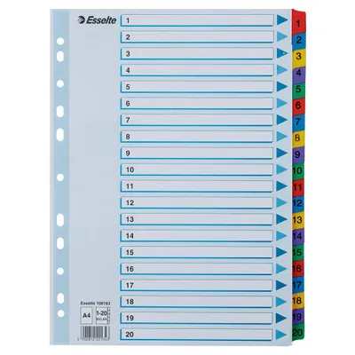 Przekładki 1-20 a4 ESSELTE mylar 100163 mix karton 160g
