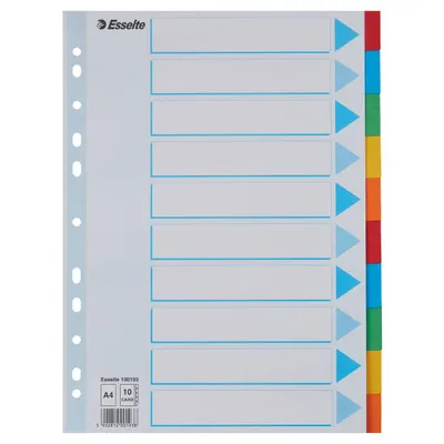 Przekładki a4 ESSELTE 100193 mix karton 160g 10szt
