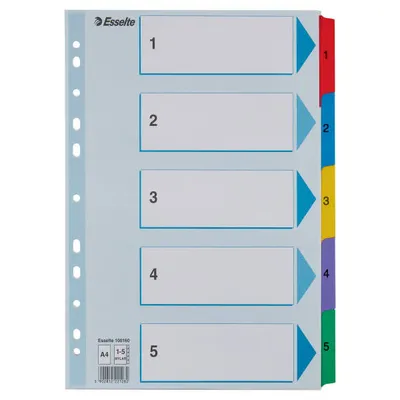 Przekładki 1-5 a4 ESSELTE mylar 100160 mix karton 160g