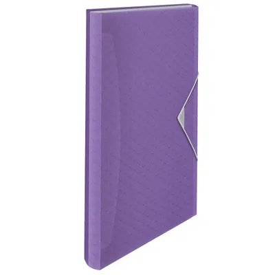 Teczka rozszerzana a4 ESSELTE colour'breeze 628448 lawendowy 6 przegródek