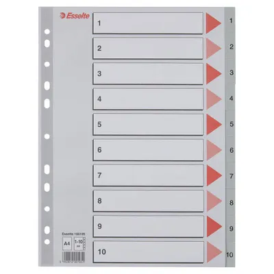 Przekładki 1-10 a4 ESSELTE 100105 szary pp