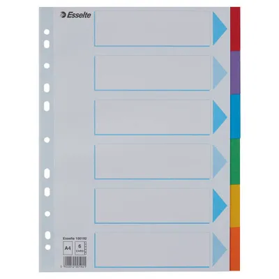 Przekładki a4 ESSELTE 100192 mix karton 160g 6szt