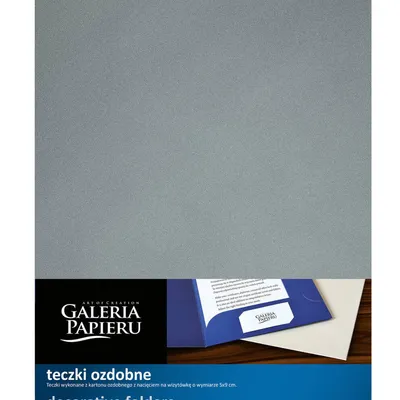Teczka ofertowa a4 ARGO 220605 srebrna 10szt