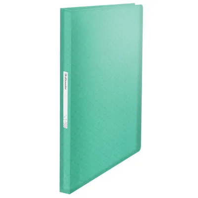 Album ofertowy a4 ESSELTE colour'breeze 626238 zielony plastik 80 koszulek