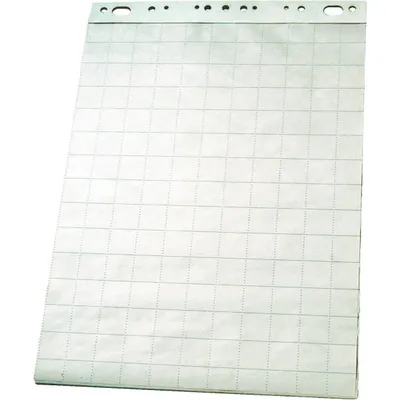 Blok do flipchartów 65x100cm ESSELTE 96553 gładki 50ark