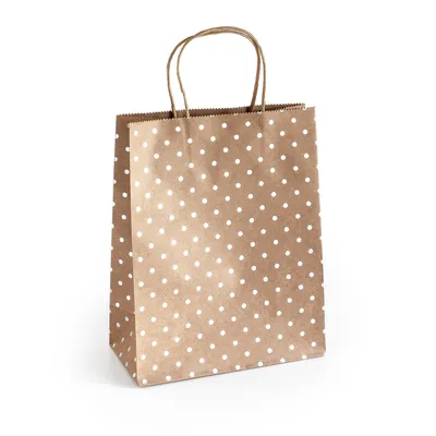 Torebka na prezenty 25x10x20cm ARGO 257004 ciemnobeżowa srebrne kropki papier kraft 5szt