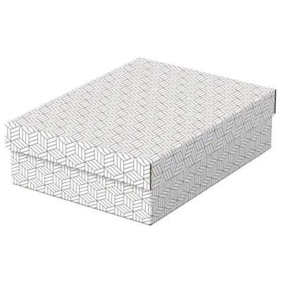 Pudło archiwizacyjne 265x100x360mm ESSELTE 628284 biały 3szt