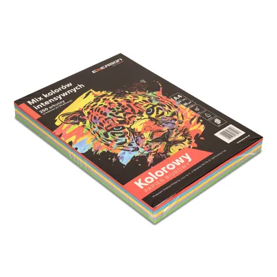 Papier ksero kolor a4 EMERSON mix intensywny 80g 5*50ark