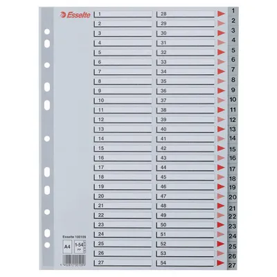 Przekładki 1-54 a4 ESSELTE 100109 szary pp