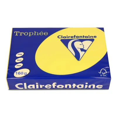 Papier ksero kolor a4 TROPHEE słoneczny 160g 250 ark